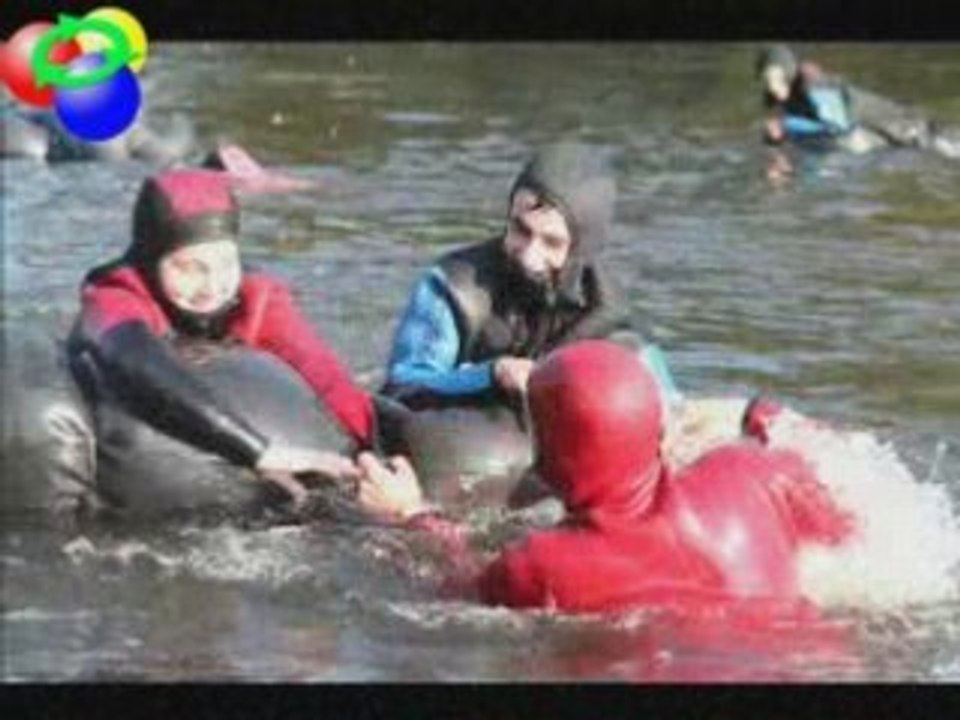 Journée cohésion octobre 2007 - photos Alain Garrigue