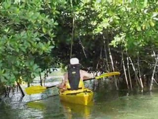 Randonnée Guadeloupe Kayak
