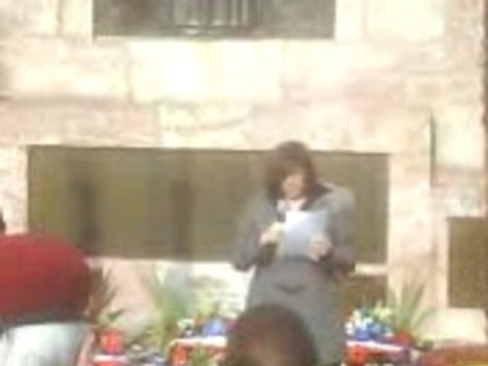 90ème comémoration de l'Armistice (Prades)