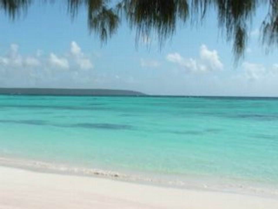 §§§FUNK PARADIZIAK§§§