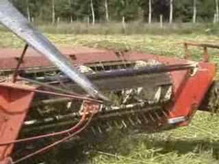 Récolte de chanvre 2008 pour Chanvre Anjou