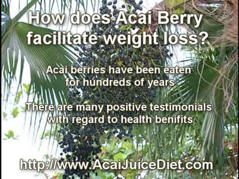 acai diet berry from the amazon weight loss