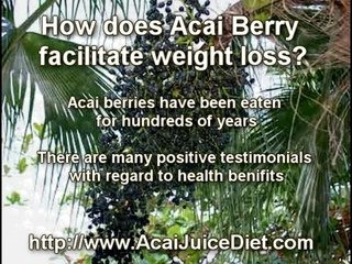 the acai berry straight from amazon forests