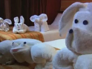 Towel Animal Theatre(SM) - "Working Out"