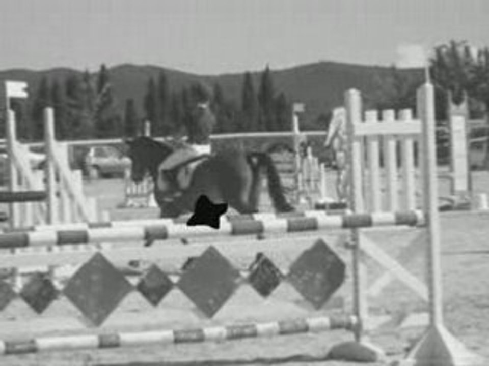 Mimimi