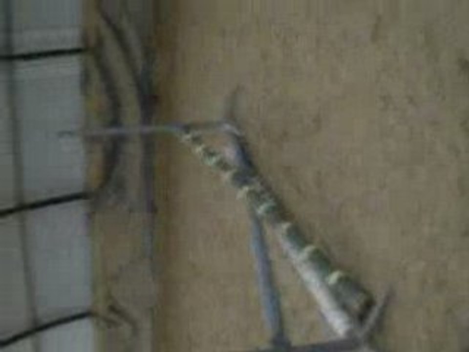 Fiona obstacle 2