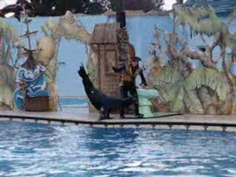 marineland spectacle otaries et les pirates