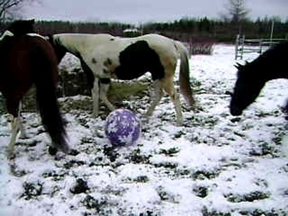 déssensibilisation au balon