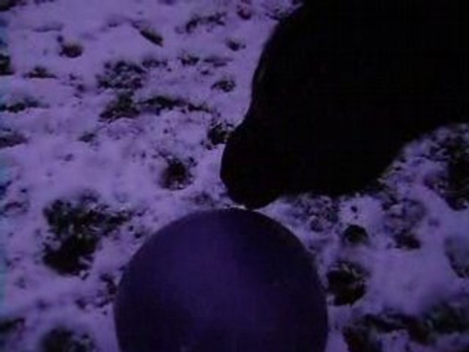 déssensibilisation au balon 3