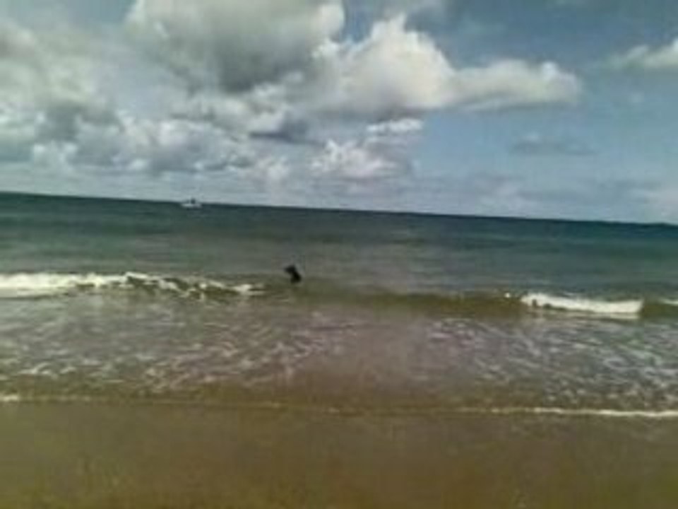 Guess à la plage