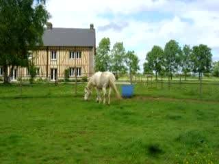video gero bouu