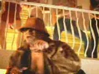 Wisin y Yandel - Bailoteo