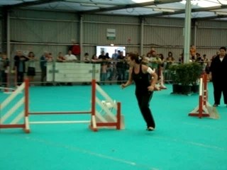 Avignon 2007 Vipper jumping