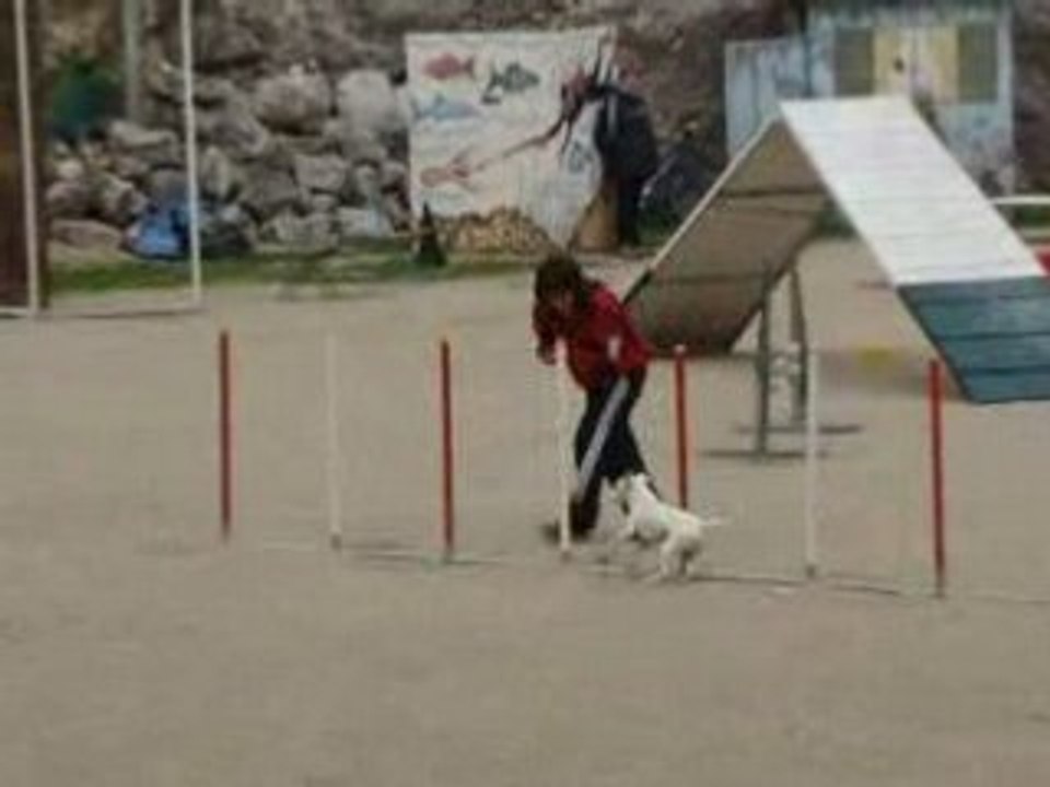 Ollioules 2008 Vip 2emeD