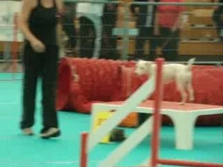 Avignon 2007 Vipper Open