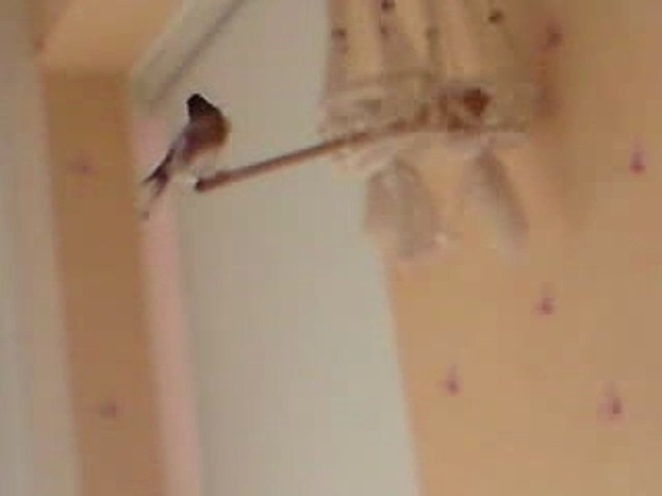 V301008_11.32