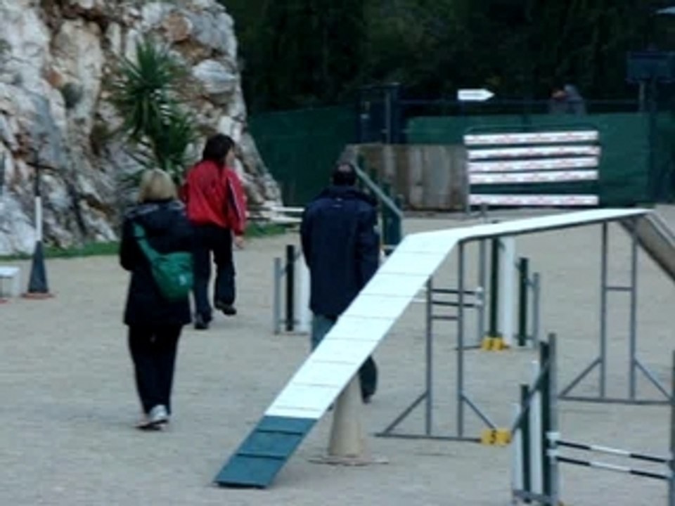 Ollioules 2008 Vipper open