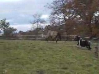 Zabo rasta 10 nov 2008