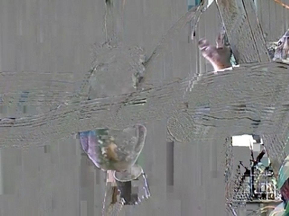 koalas au Lone Pine Koalas Sanctuary Brisbane