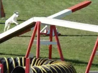 Eurocopter Vipper GPF