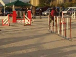 Martigues Vipper open