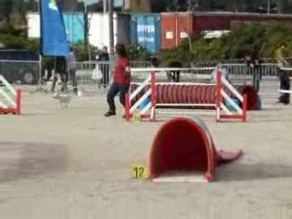 Martigues Vipper 2eme Degré