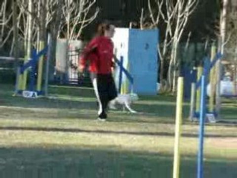 Mougins Vipper Jumping