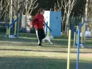 Mougins Vipper Jumping