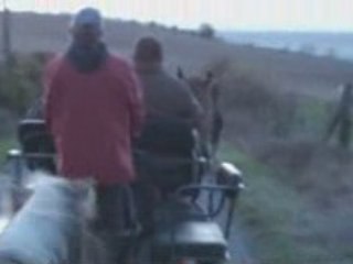 Balade attelage novembre 08