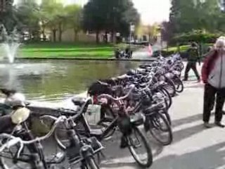 Toulouse 09/11/2008 l'Espace Bonnefoy vue sur le "cheptel"