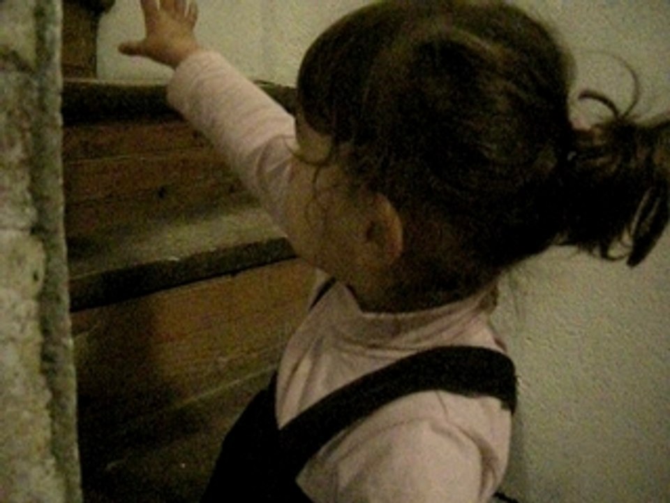 Anni vivi 2008 6