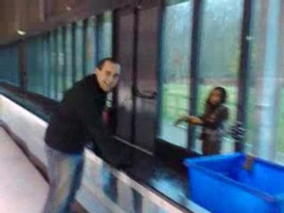 Moi faisant du patin sur glace !