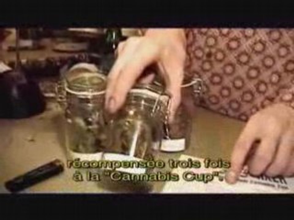 Reportage - 3sur3 Cannabis