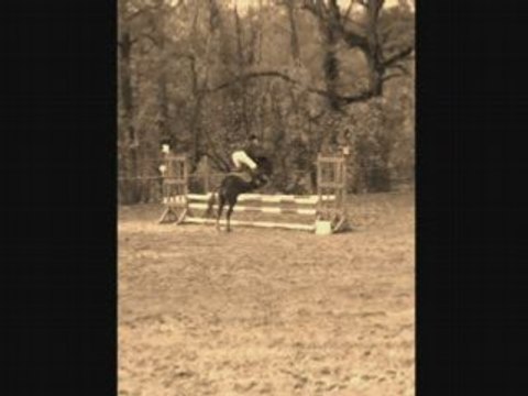 Nina et Moi parcours CSO concours Club 2