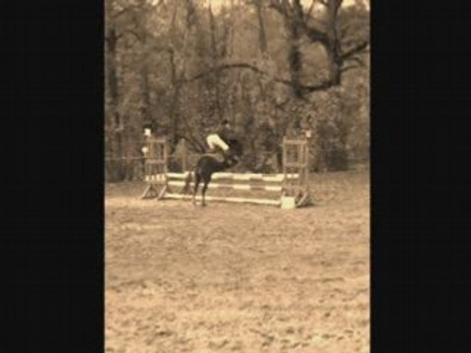 Nina et Moi  parcours CSO concours Club 2