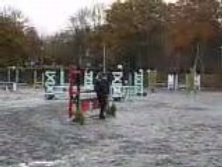 Jadis du Guerrus & Moi en D4p