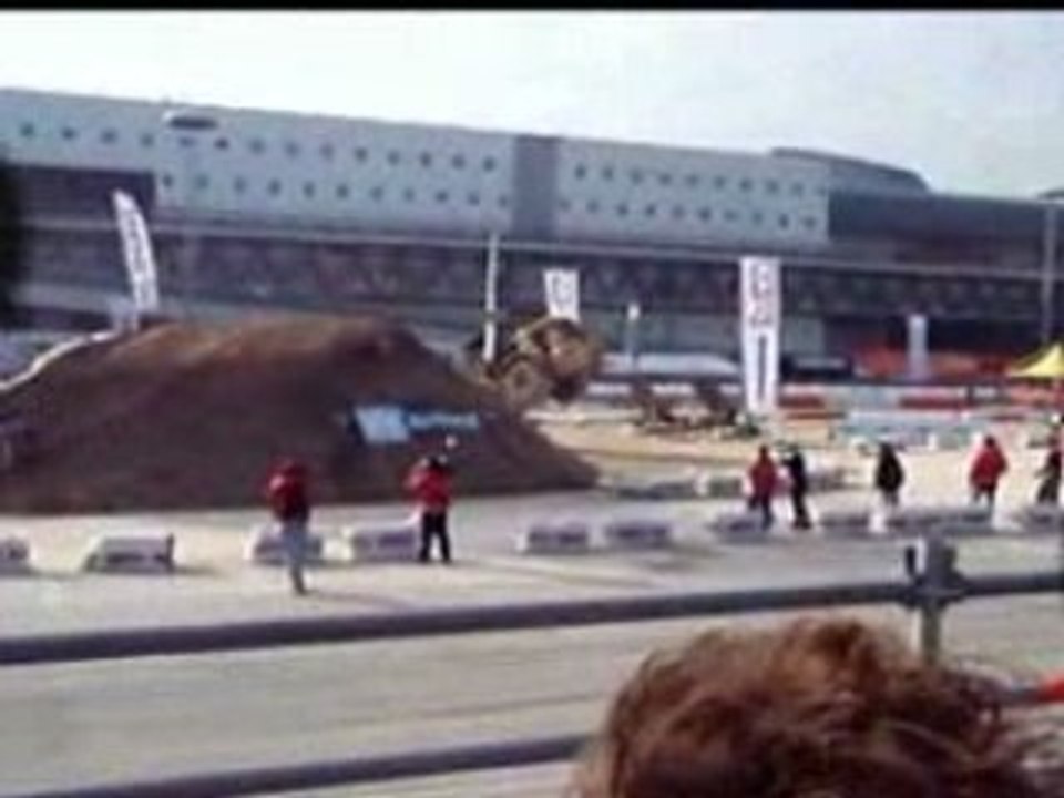 stunt en cat