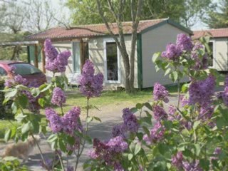 Campings île d'Oléron