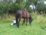 Elodie qui tombe de maestro chute de poney ou cheval