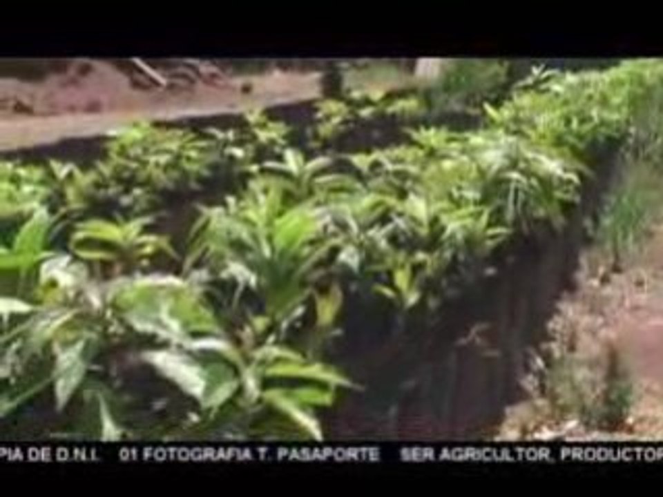 VALLE VERDE - SPOT