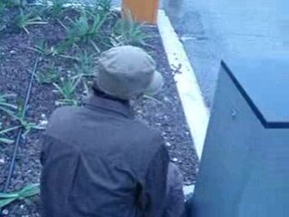 Cadille gravier par sam