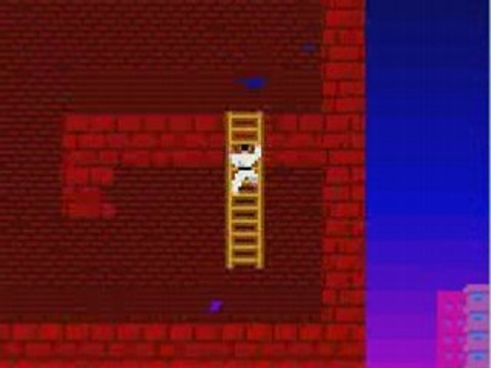 Judo commando (22295)