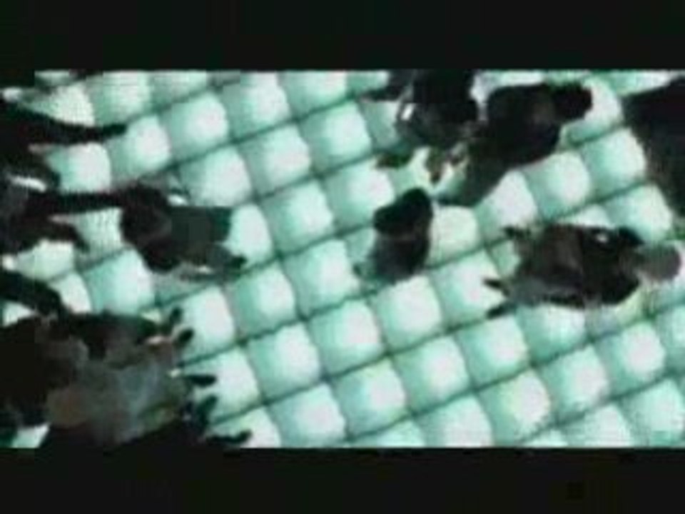 Music Instructor - Let The Music Play BreakDance Battles