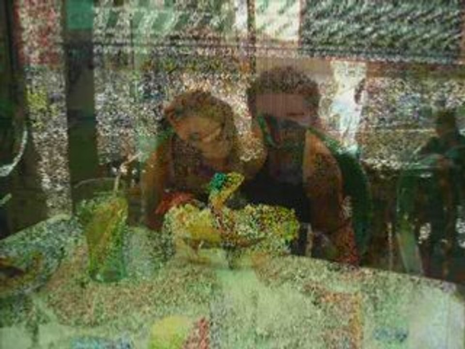 Vacances saint-pierre sur mer