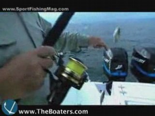 Crew Pay & Benefits, Fish Facts on Pinfish