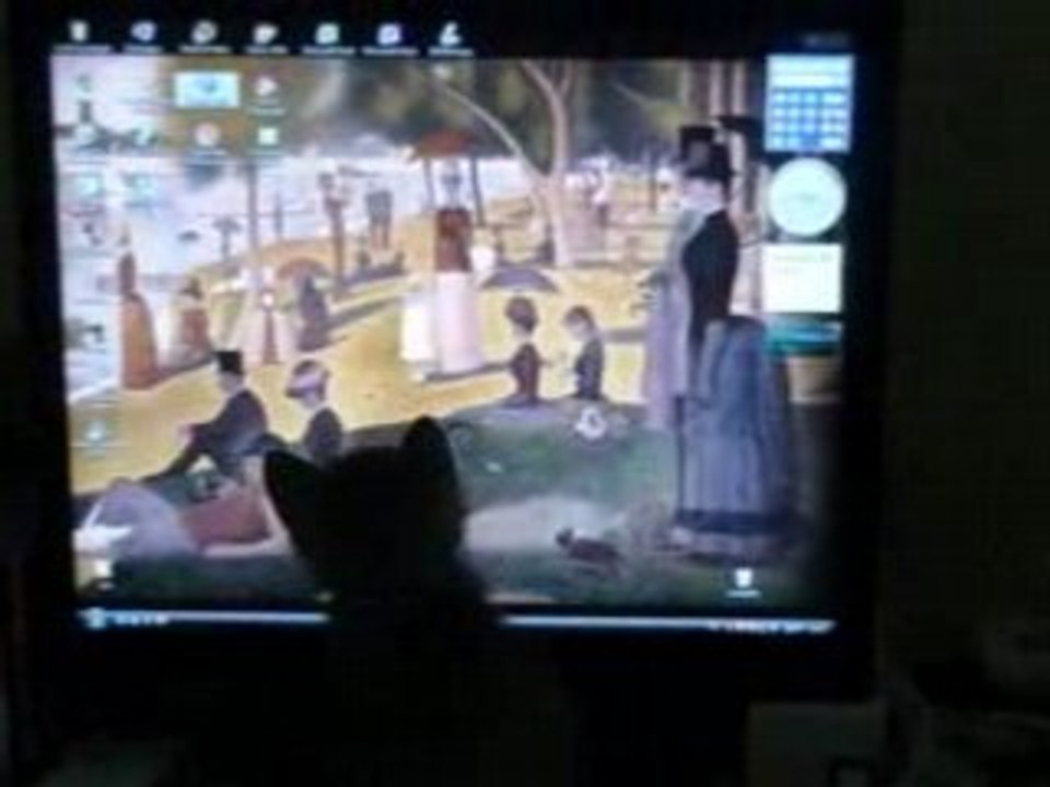 chat con