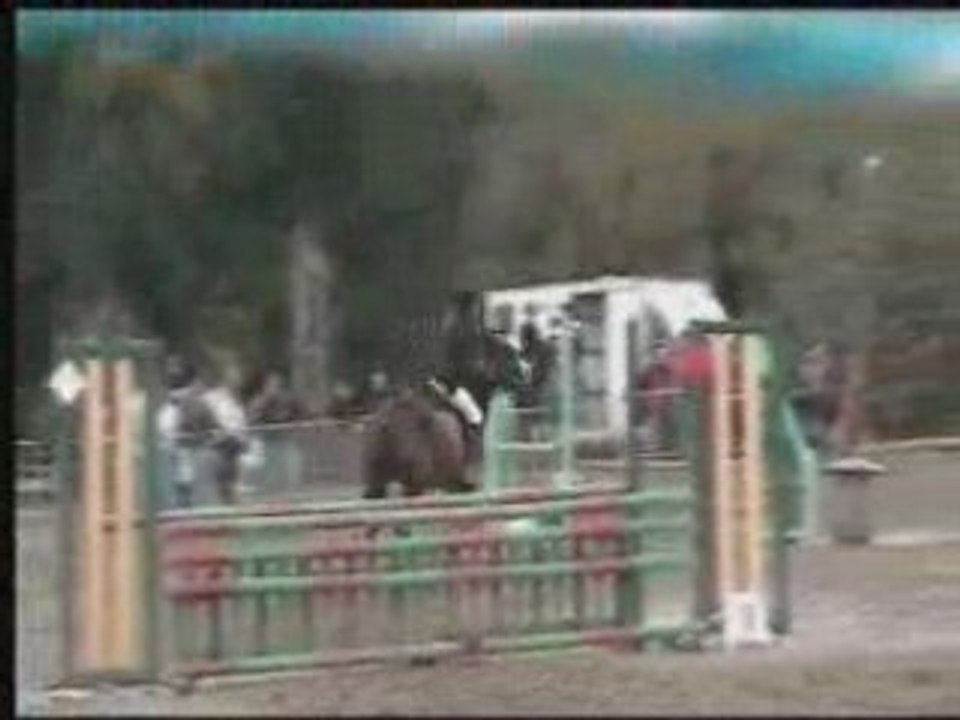 concours  saut d'obstacle saint-lunaire oscar et moi club2