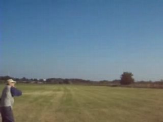 Zwei alte Recken die sich strecken  auf der Wiese !