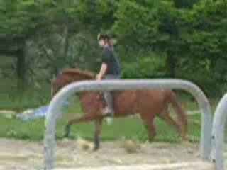 Départ au galop de polo