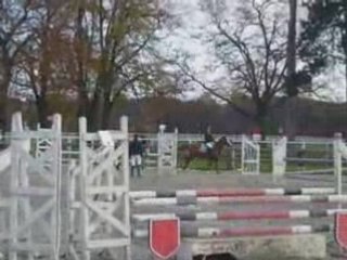 Tetere et nordika - Haras de Jardy